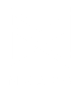 MearsShoes